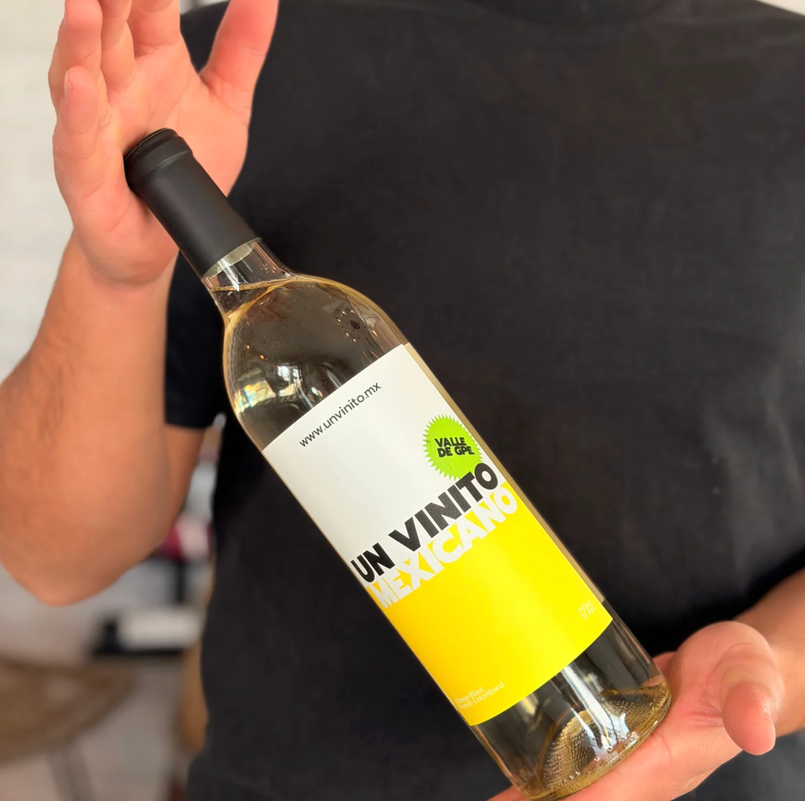 Chenin Blanc Un Vinito — Vino blanco mexicano del Valle de Guadalupe