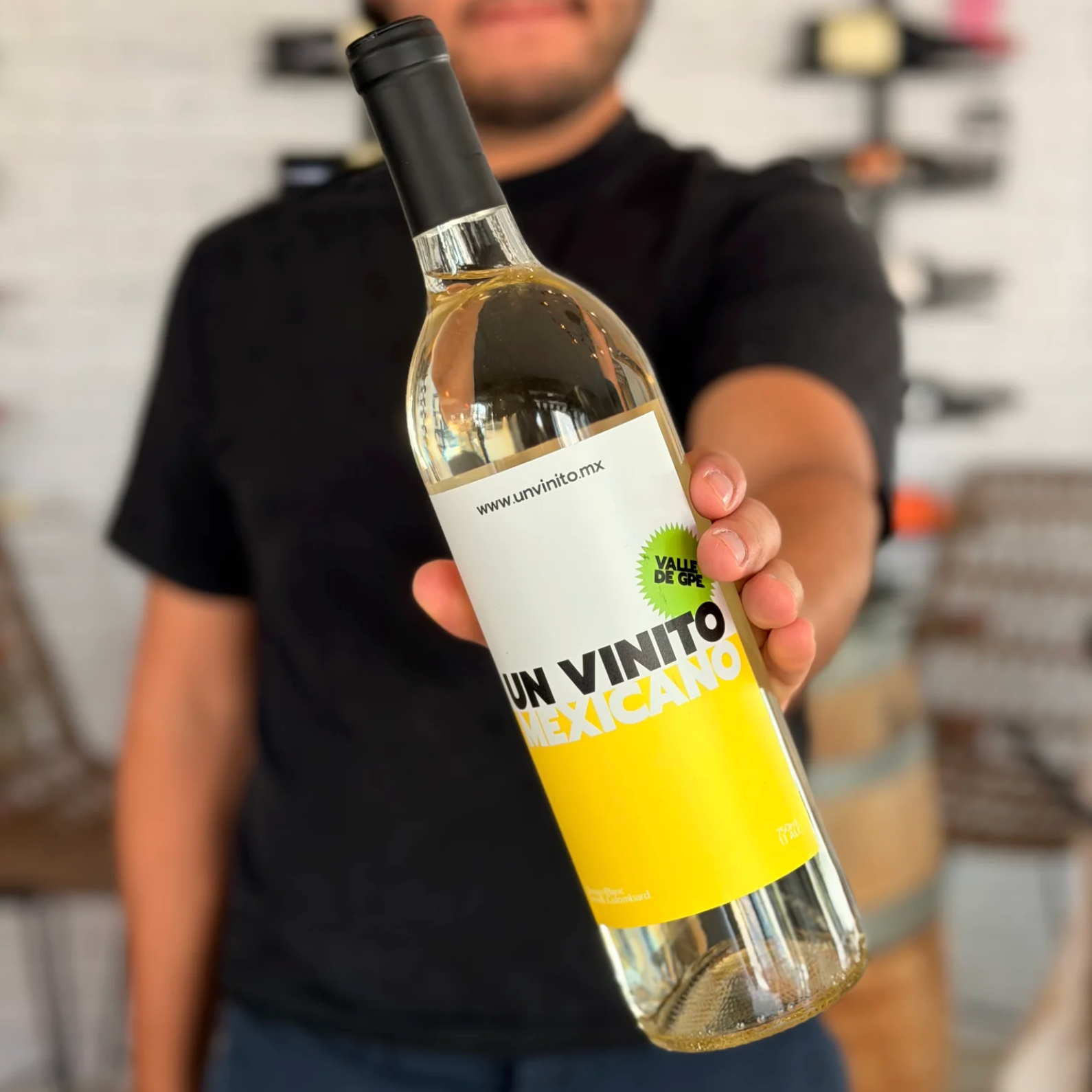Chenin Blanc Un Vinito — Vino blanco mexicano del Valle de Guadalupe