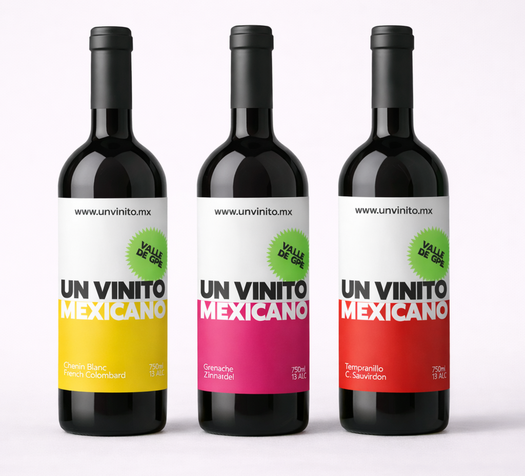 caja-6-botellas-vino-mexicano-un-vinito
