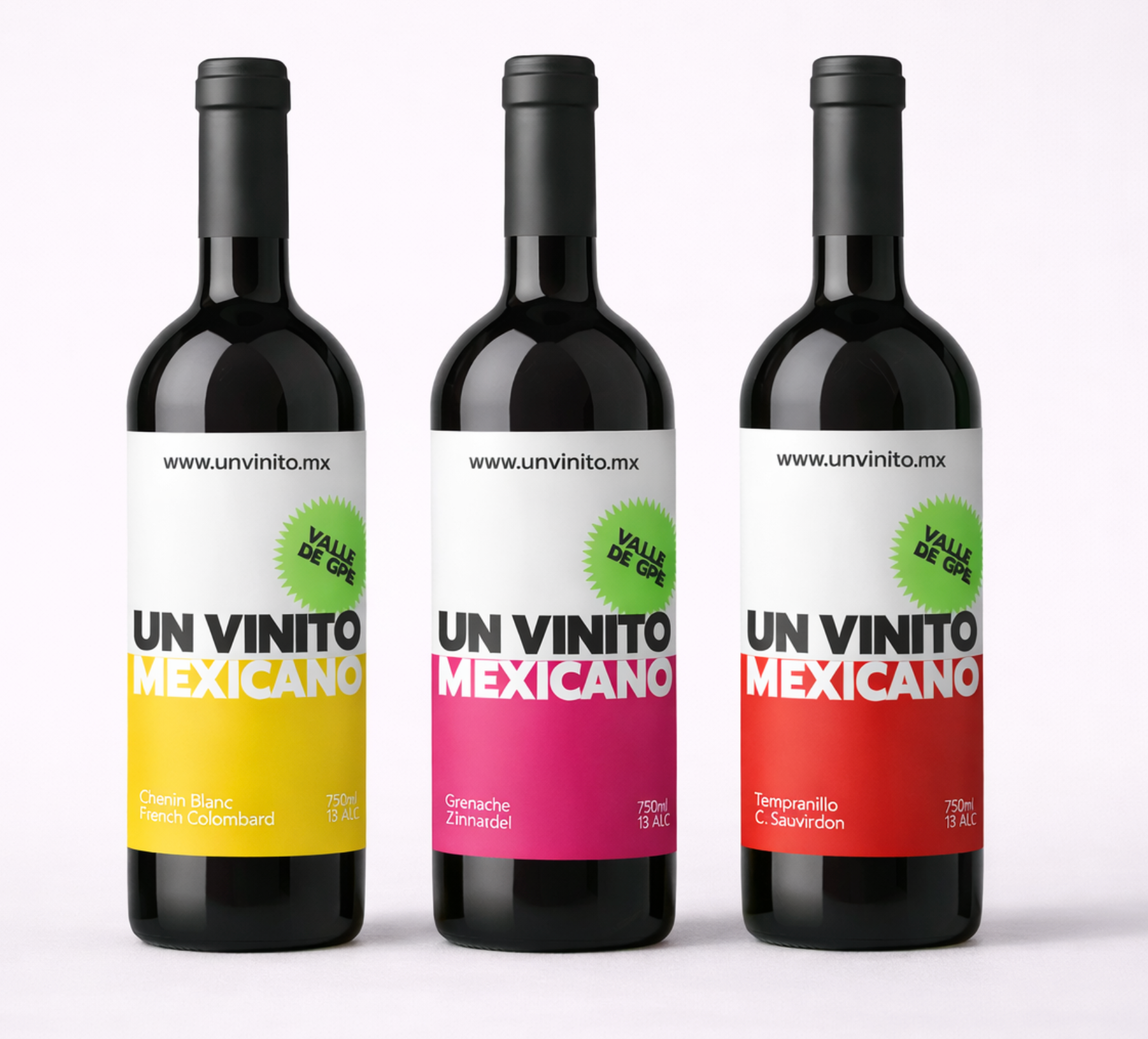 caja-6-botellas-vino-mexicano-un-vinito