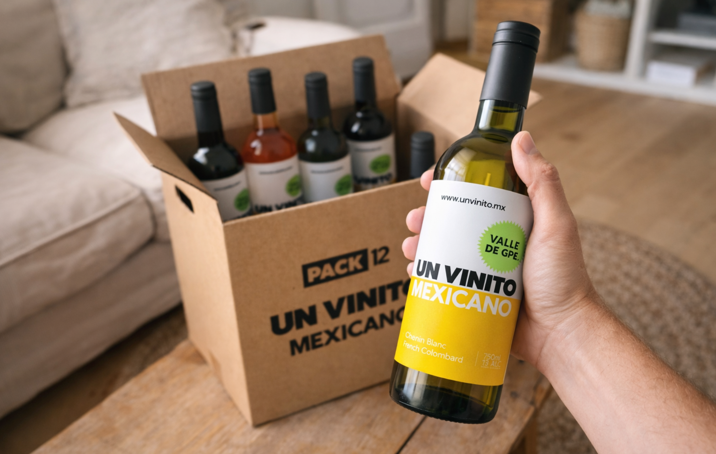 pack-12-botellas-vino-mexicano-un-vinito