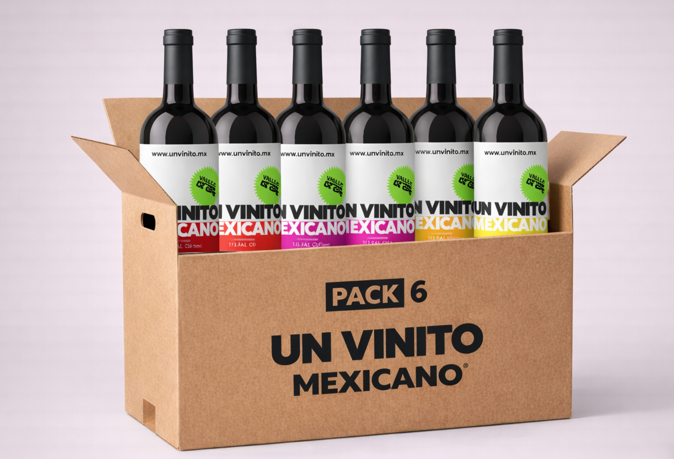 pack-6-botellas-vino-mexicano-un-vinito