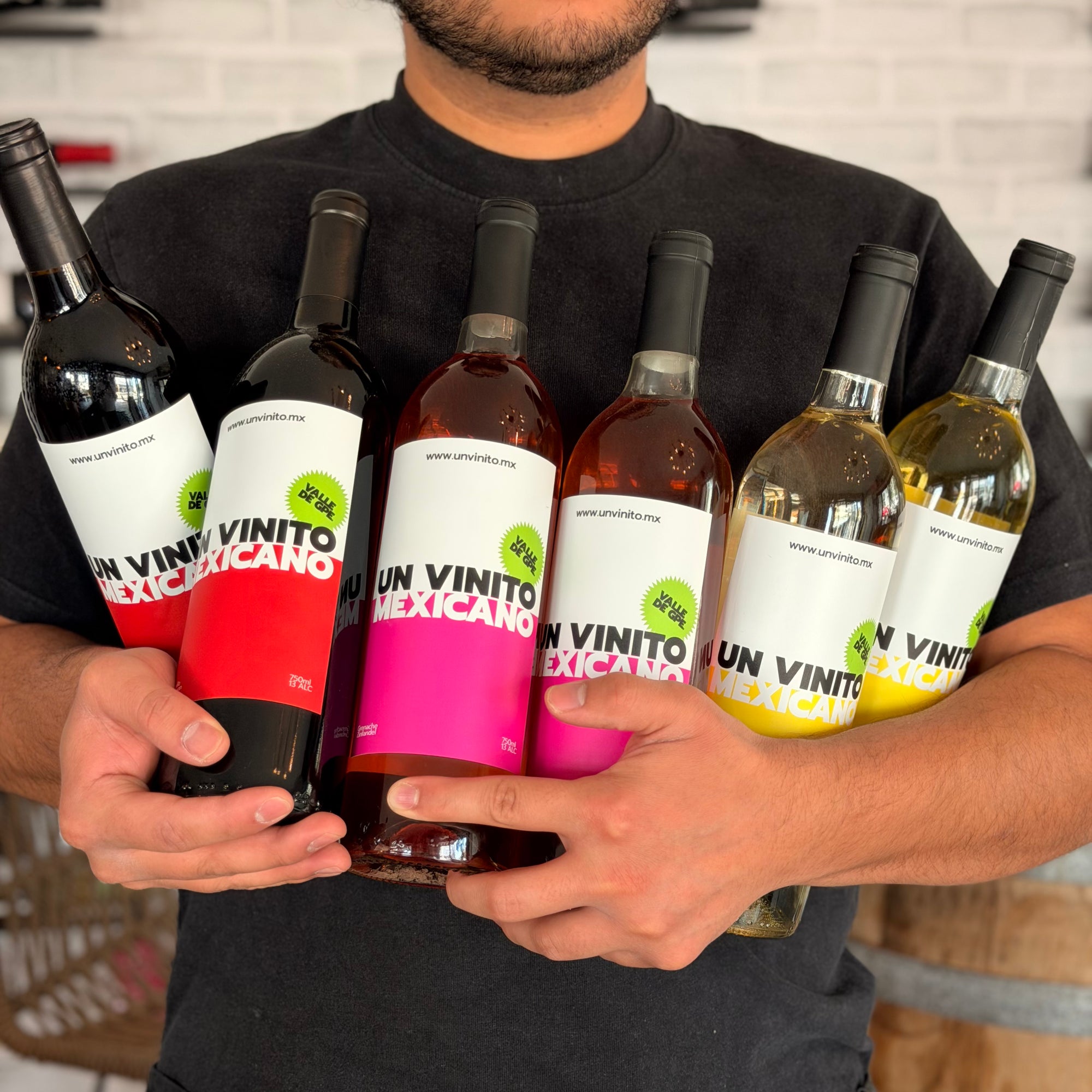 pack-6-vinos-mexicanos-un-vinito